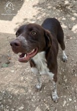 Coko